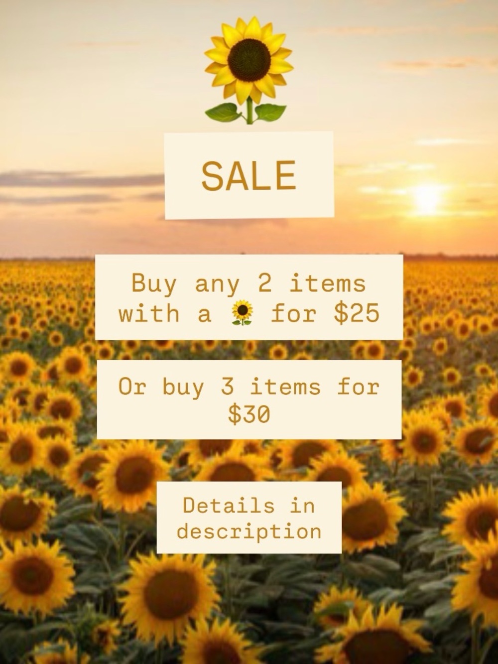 🌻 2 for 25 Sale